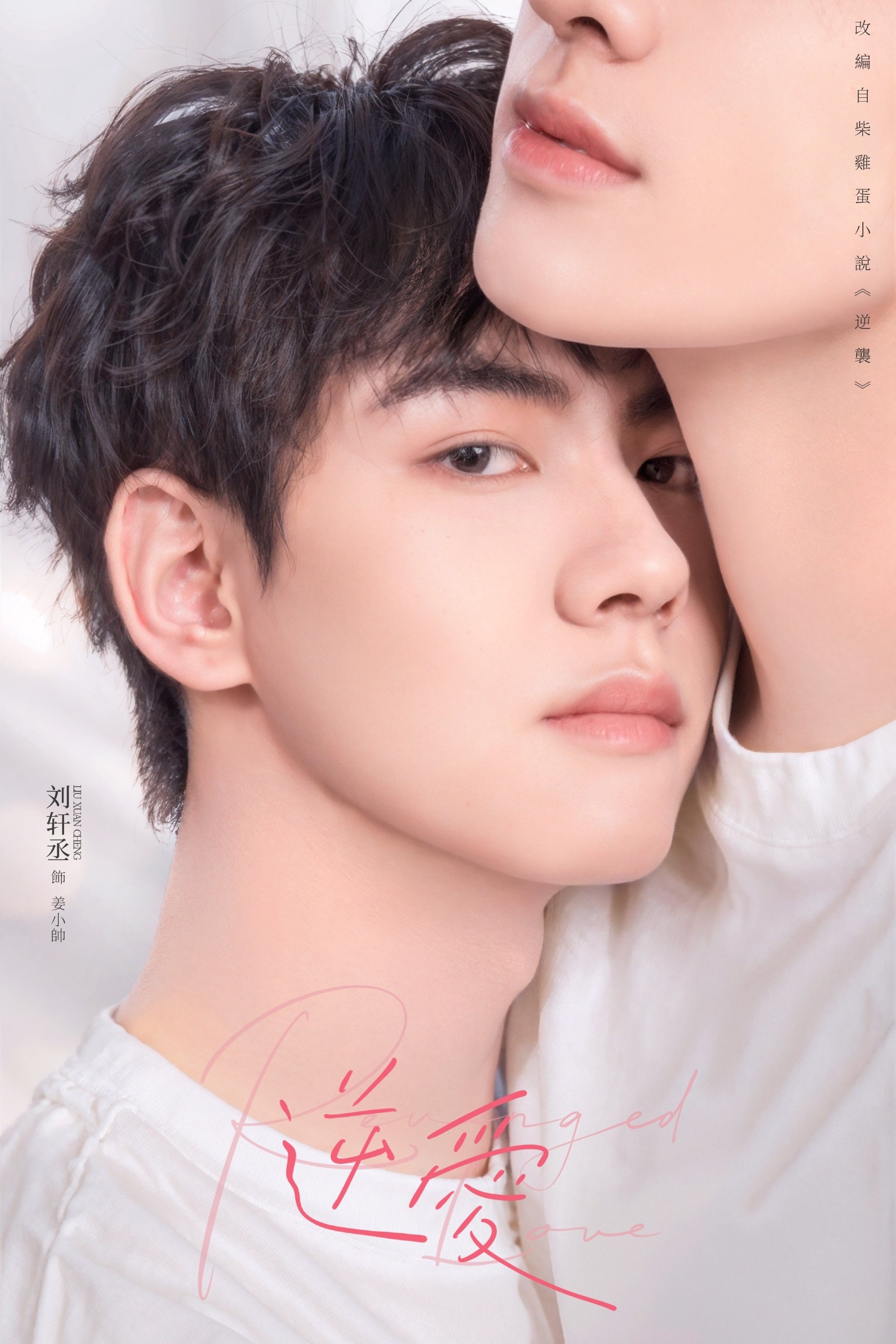 image-preview
