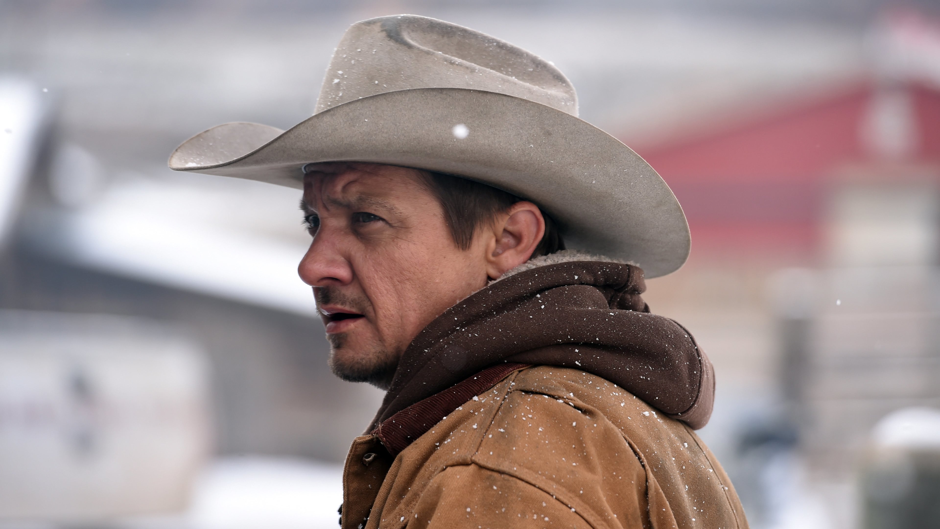 Image du film Wind River iahk11qnxeofzpvtaydibx8uwjujpg