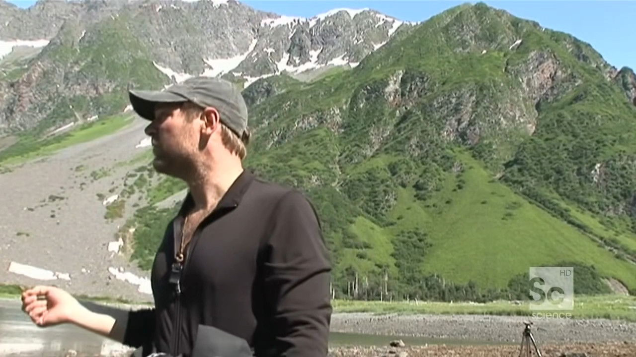 Alaska still
