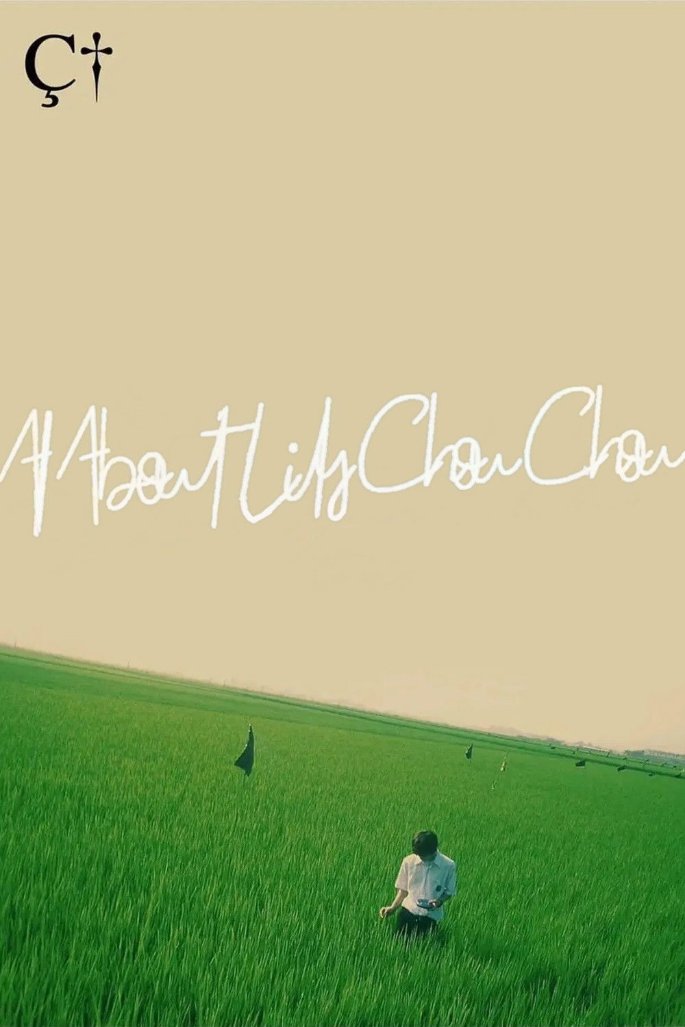 关于莉莉周的一切