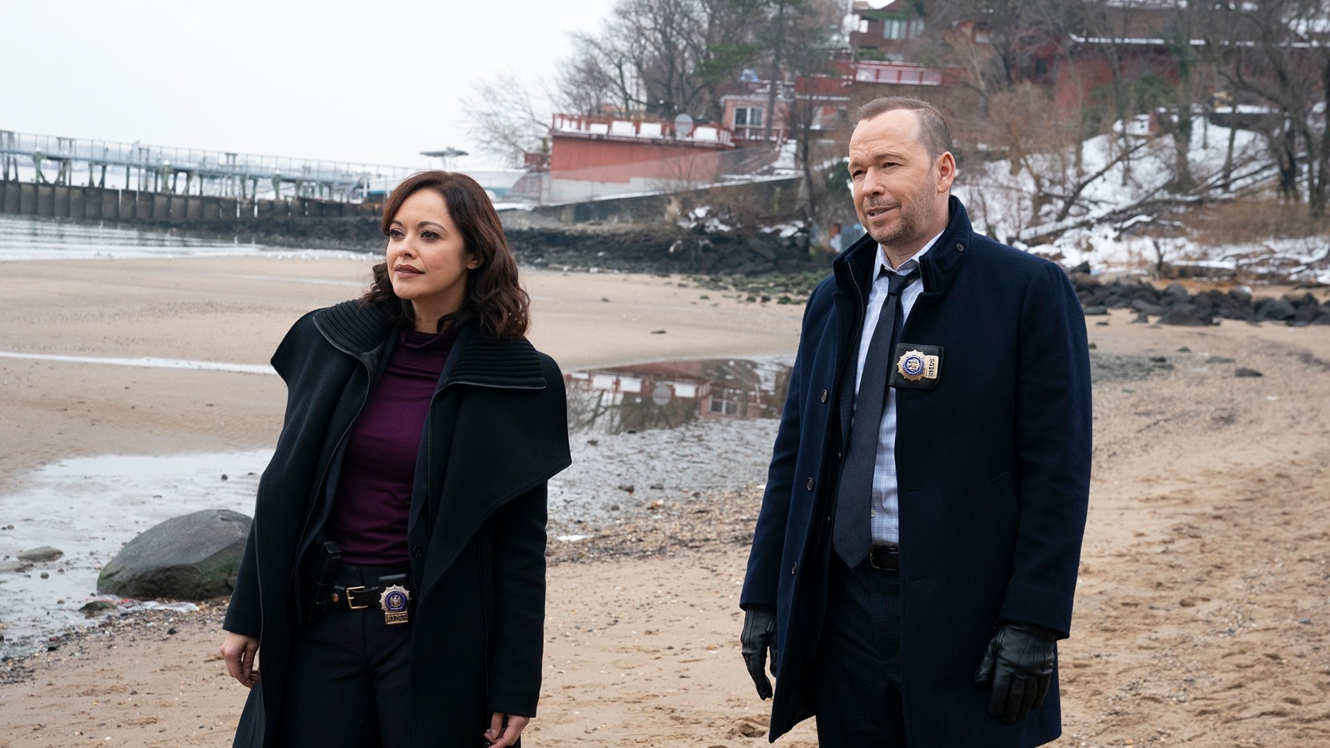 Blue Bloods Staffel 11 :Folge 8 