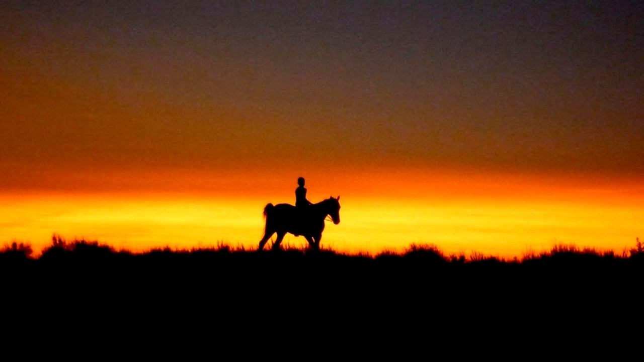 Reel injun: indios de película (2010)