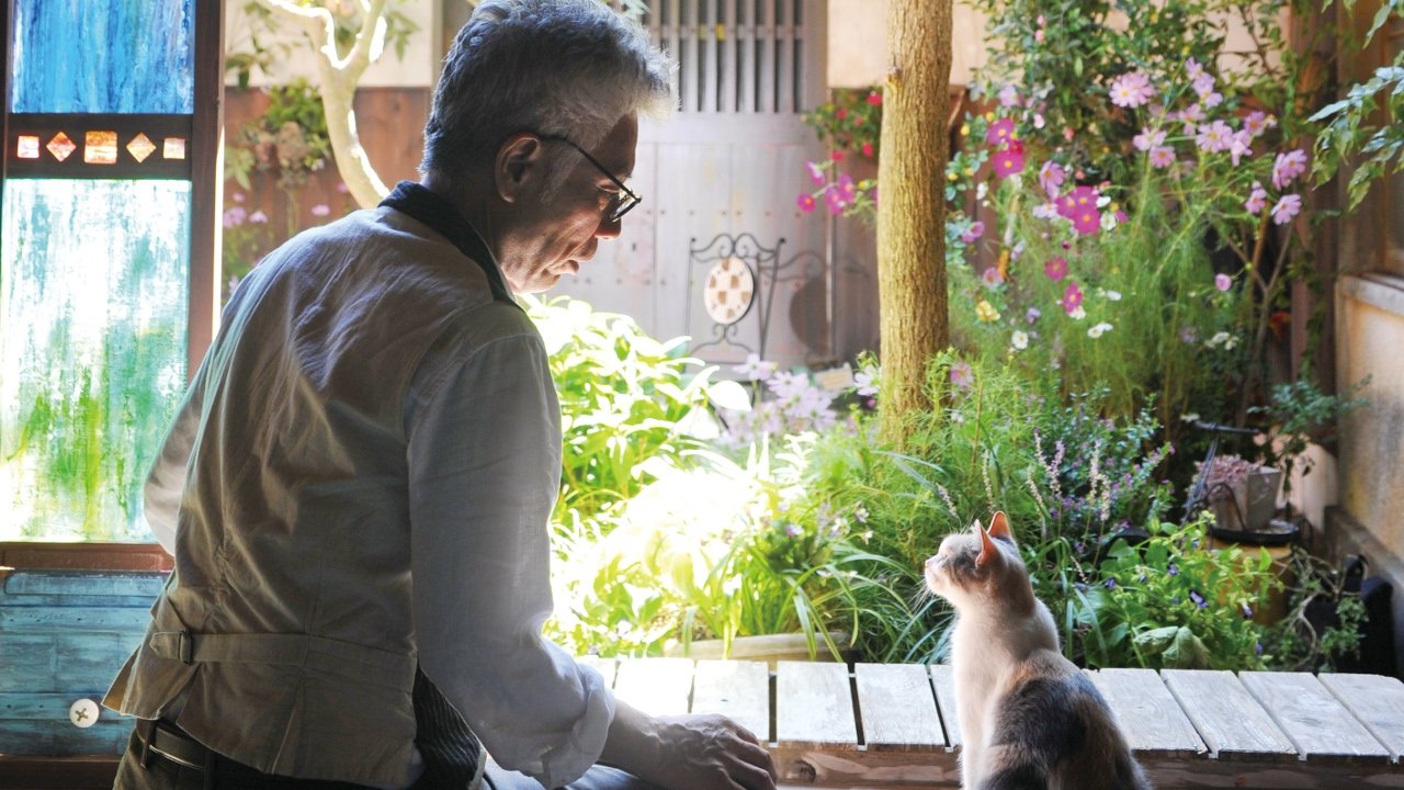 Teacher and Stray Cat (2015)