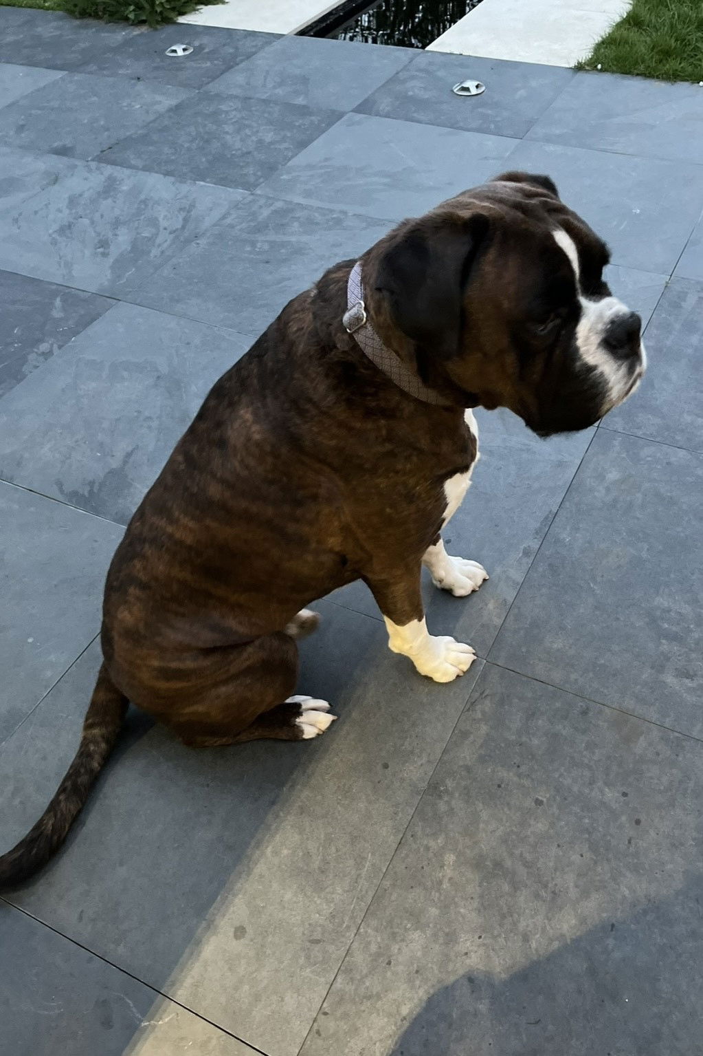 et billede af Mr Darcy