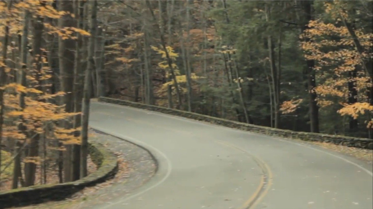 Fall