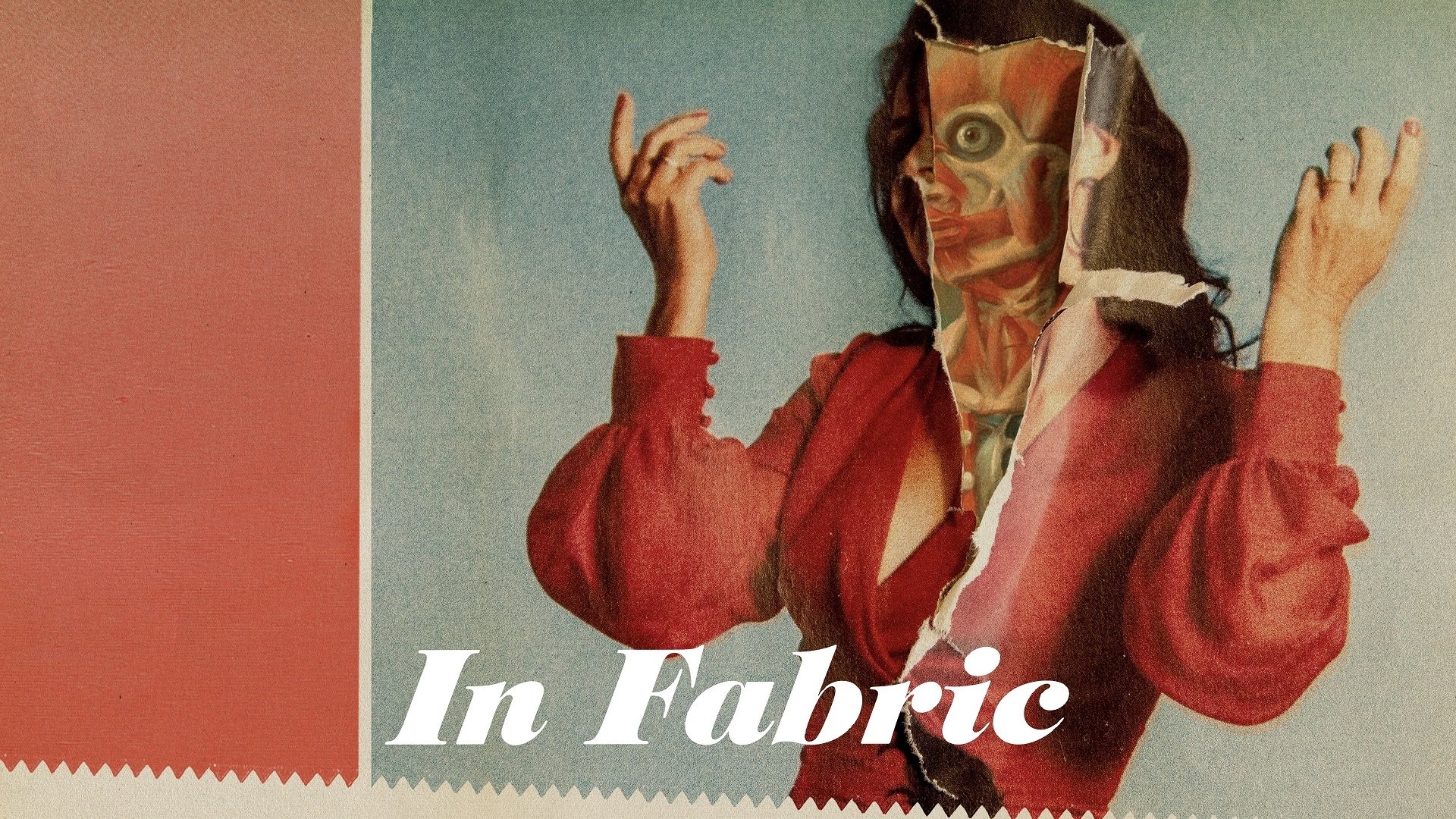 In Fabric (2018)