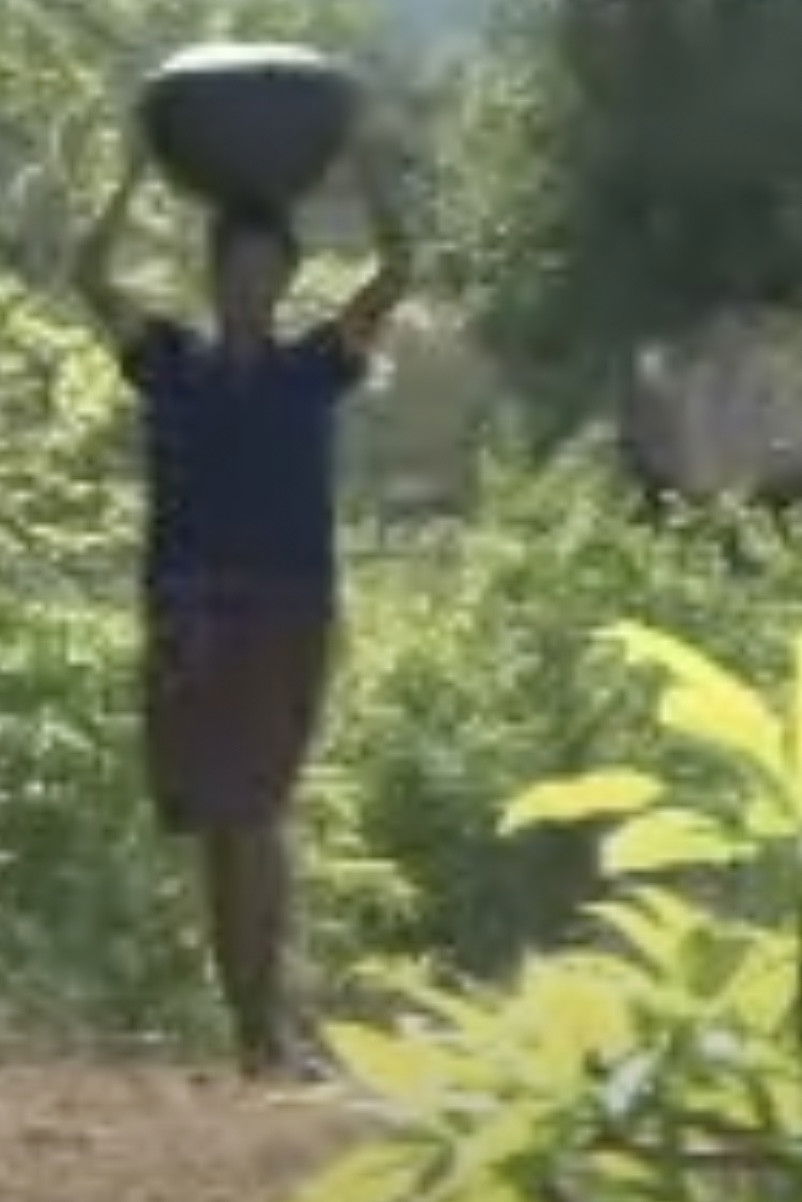 Poster for The Dancer is Heartbroken