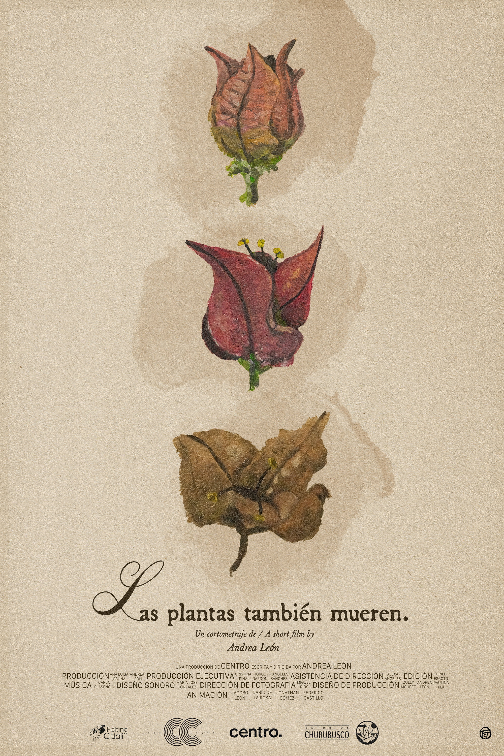 Las plantas tambi&eacute;n mueren