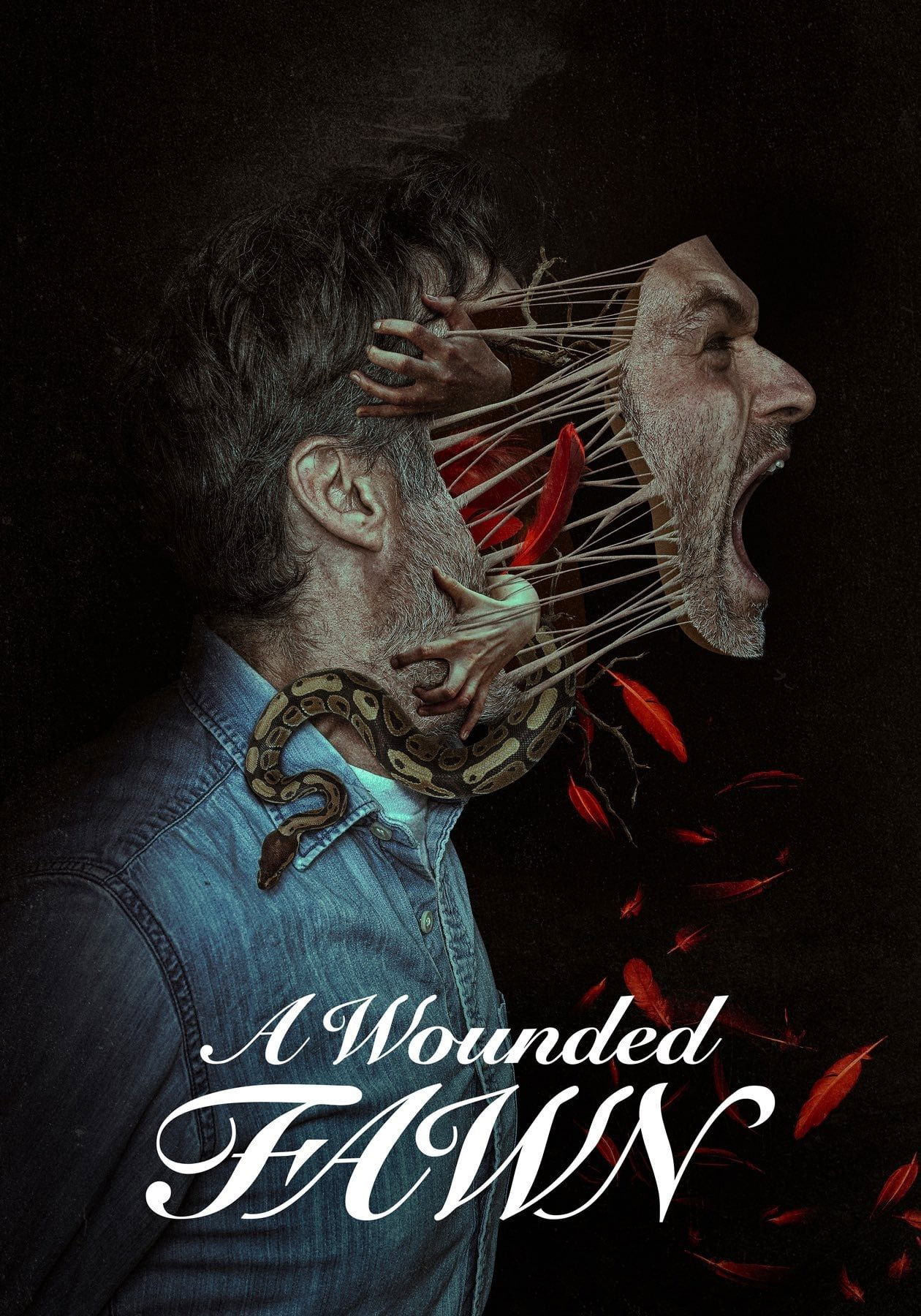 A Wounded Fawn