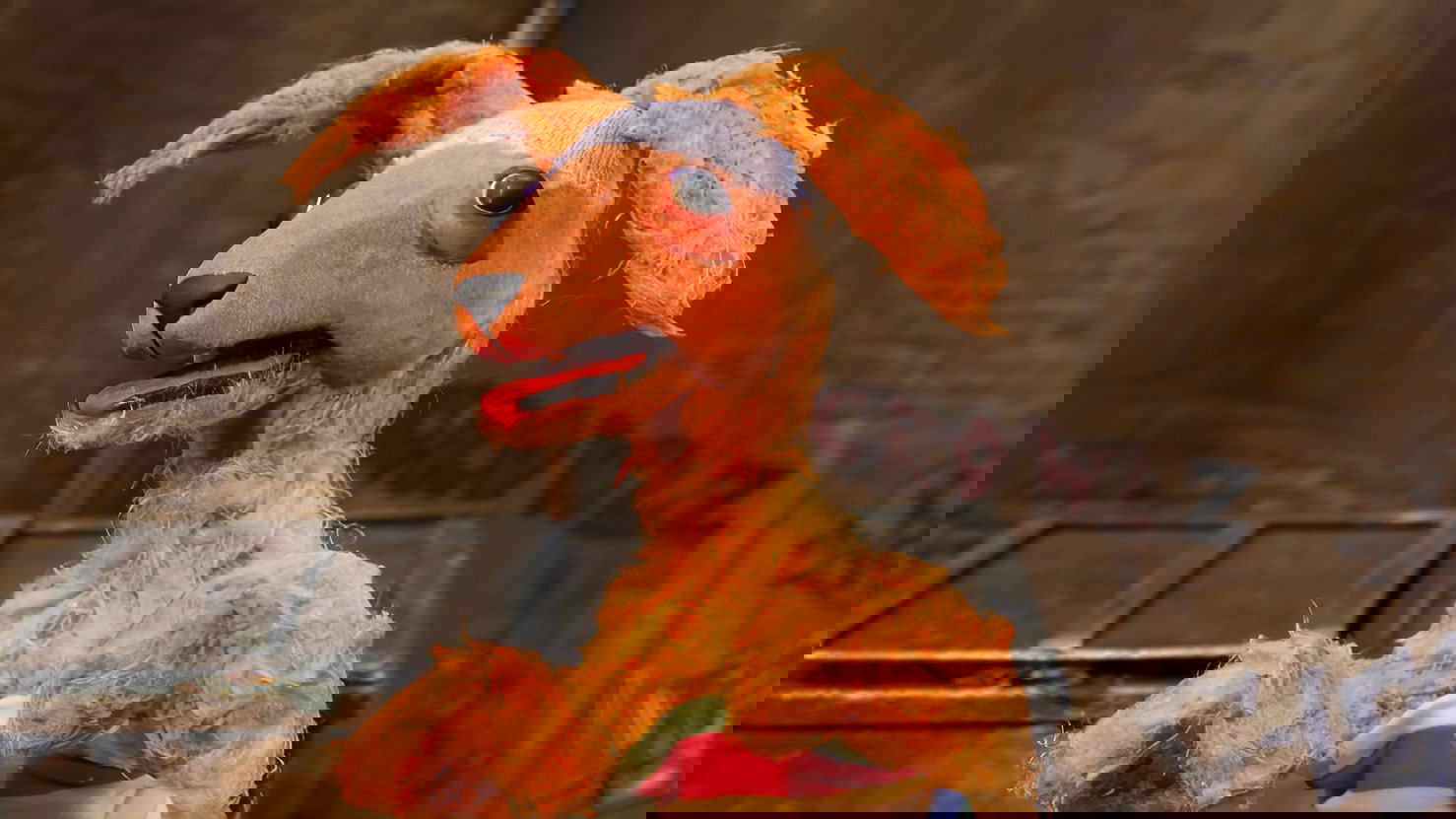 Robot Chicken
