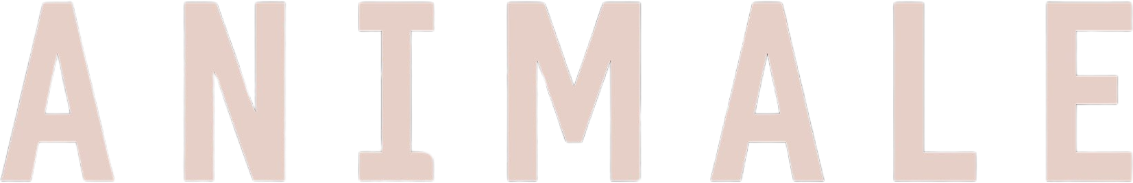 image-preview