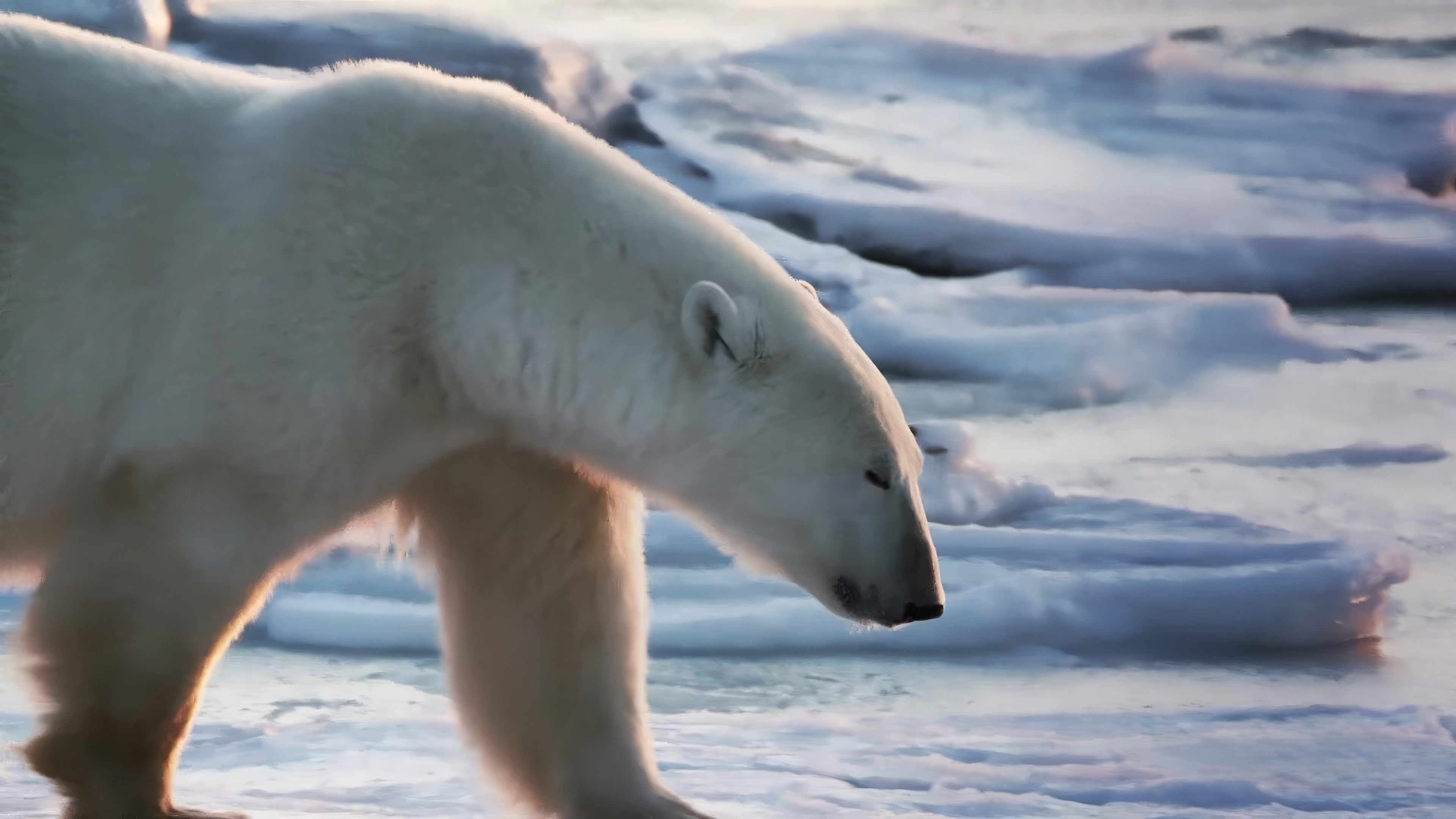 Earth Odyssey with Dylan Dreyer S07E22 backdrop