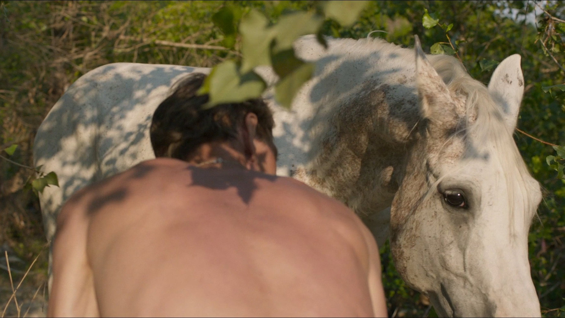 Western (2017) — still 9