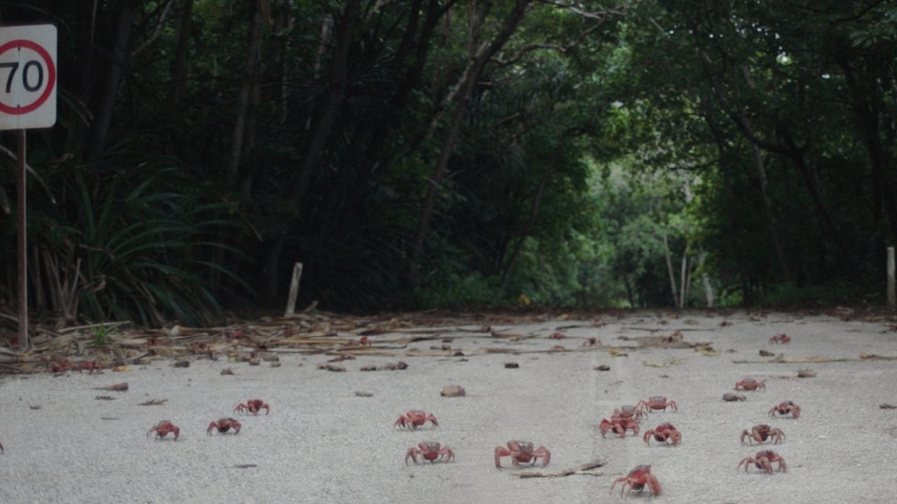 Island of the Hungry Ghosts (2019)