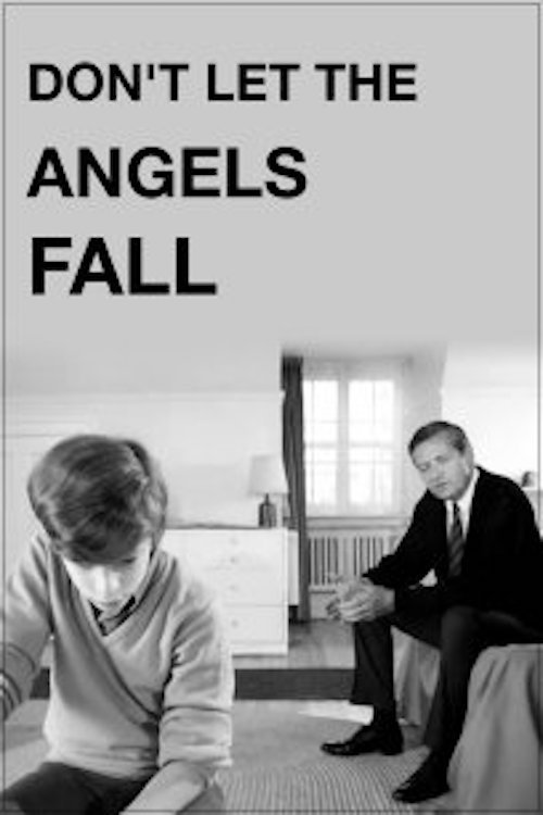 Don't Let the Angels Fall