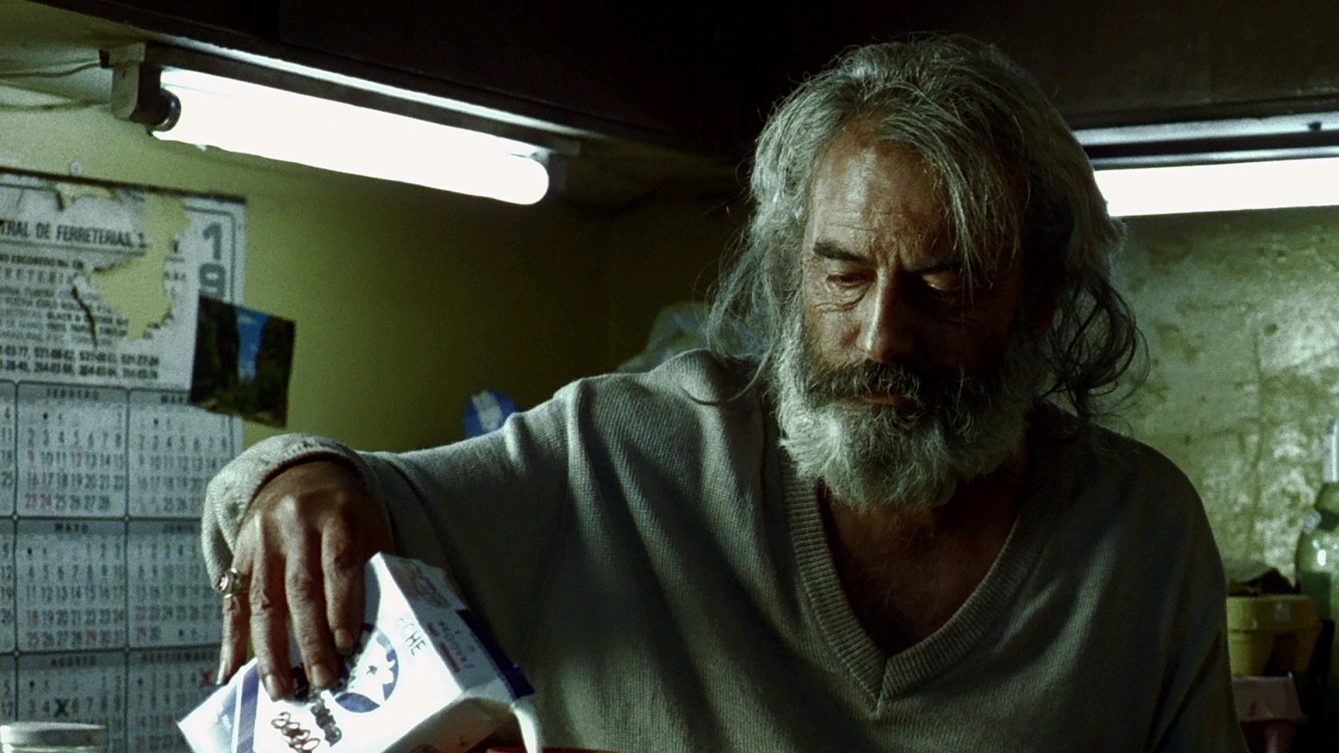 Amores Perros Background