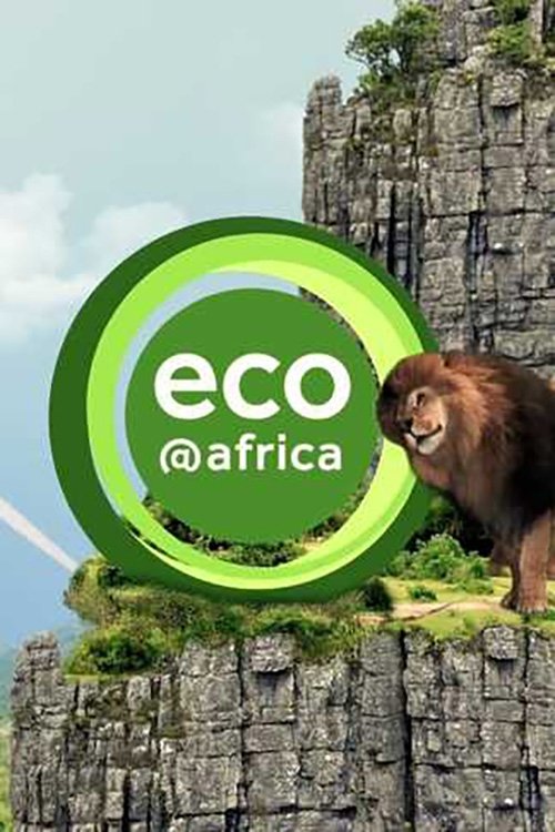 Eco Africa - The Environment Magazine (2024)