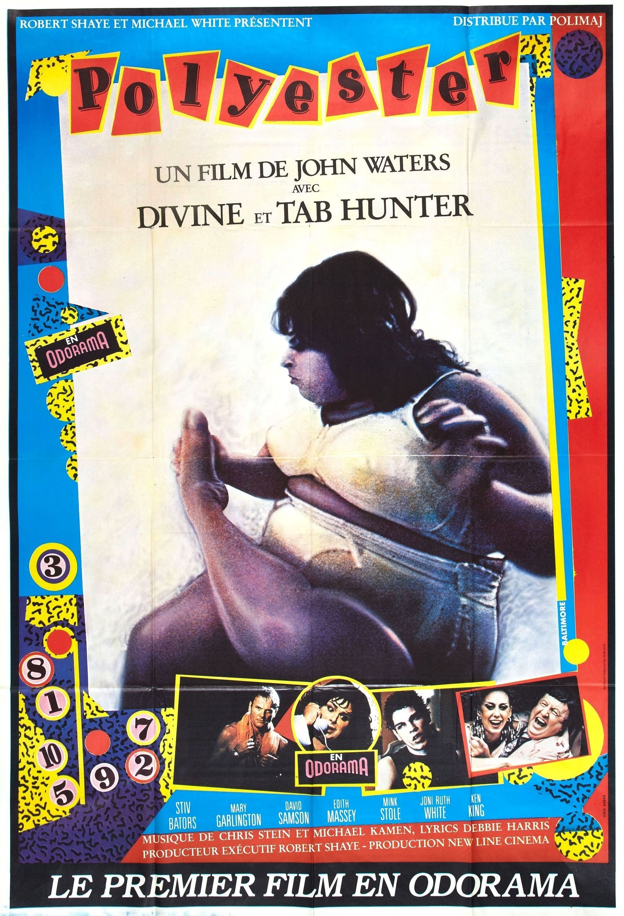 Affiche du film Polyester 1428