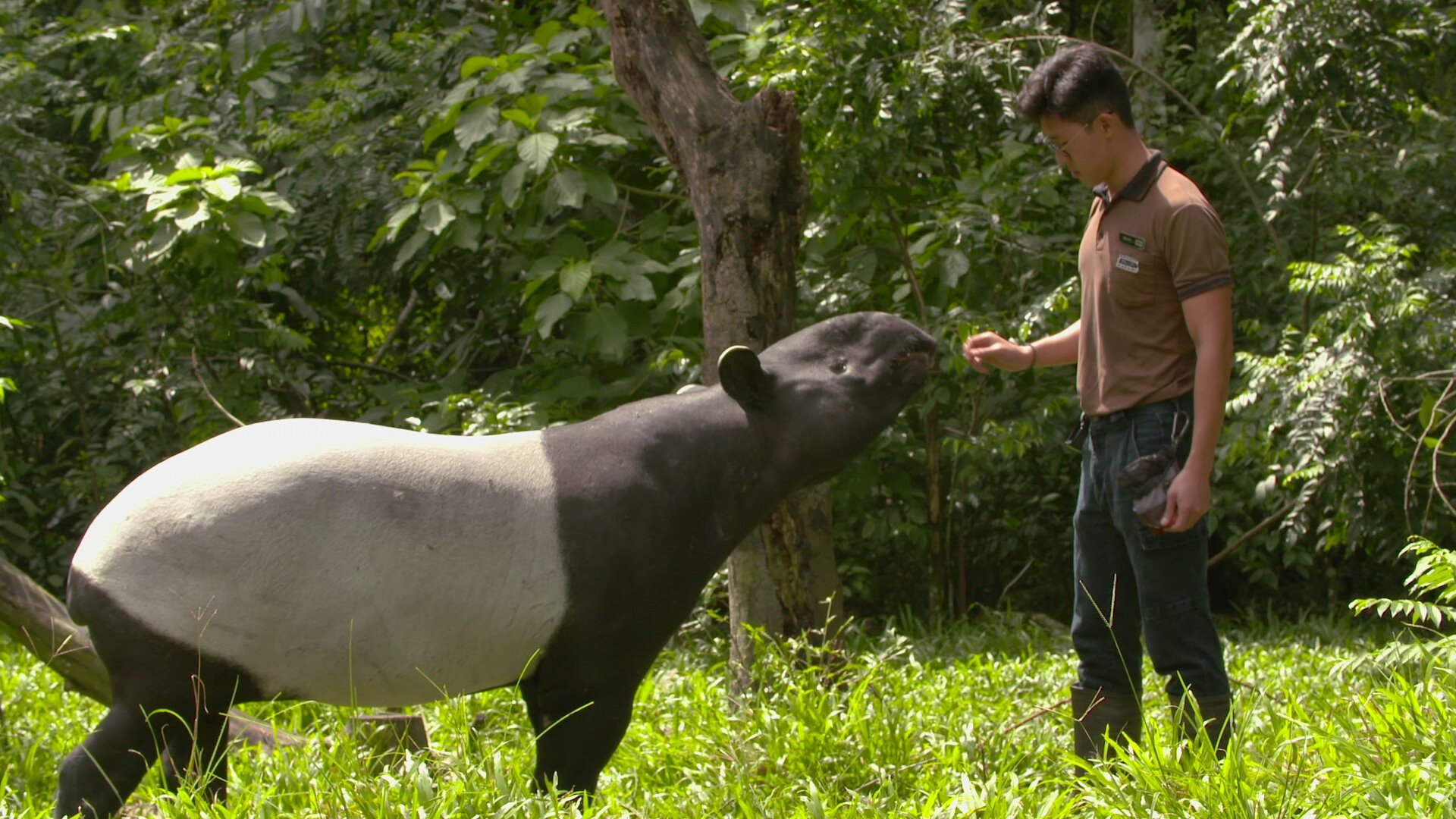 Thumbnail for Weird and Wonderful Season 1 Episode 7