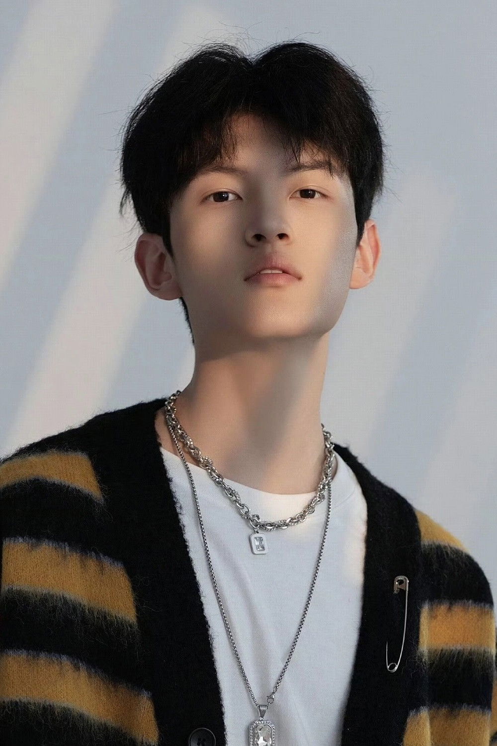 et billede af Ye Shengtong