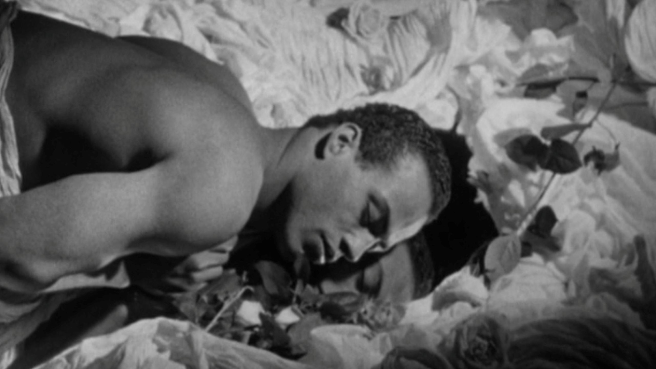 Looking for Langston