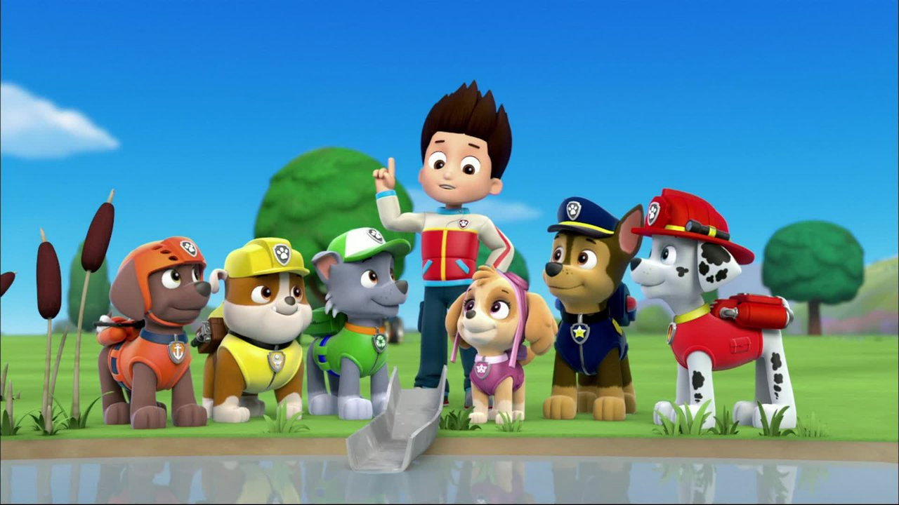 Pups and the Trouble with Turtles