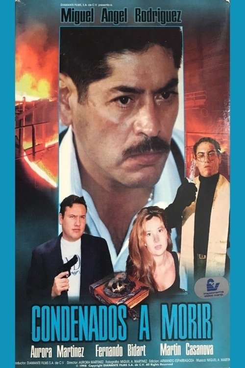 Content cover