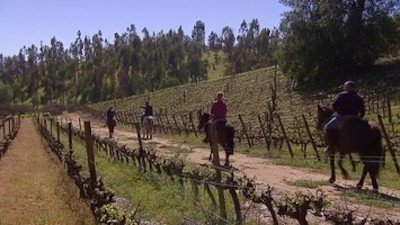 Thumbnail for Episode 44 Season 1 Episode 44