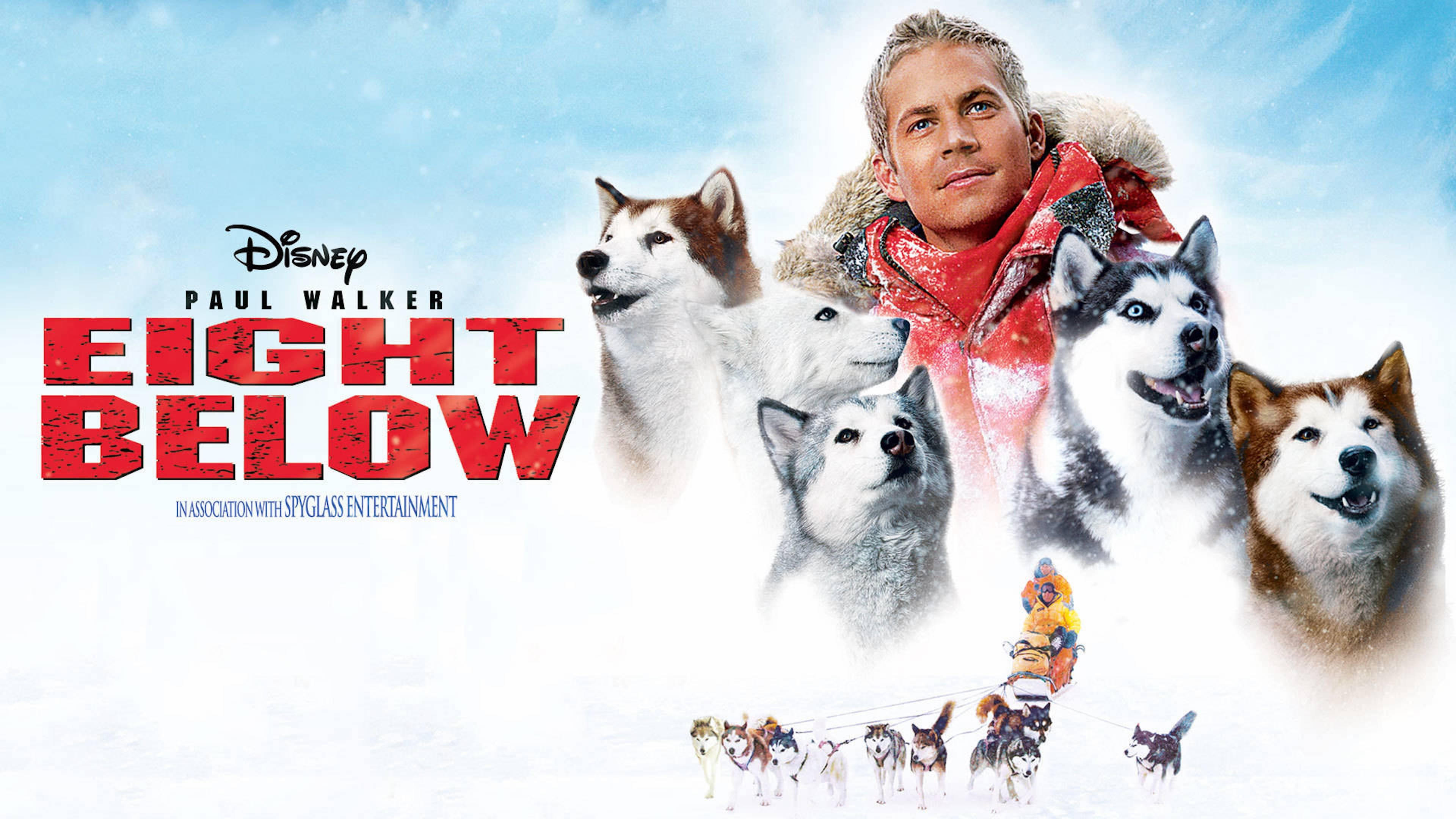 Eight Below (2006)