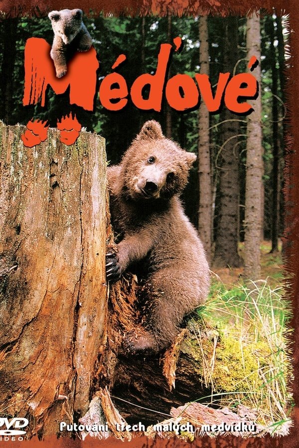 Méďové - Season 1