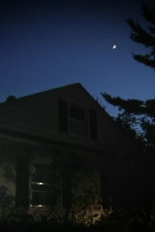 The Nightgardener Poster