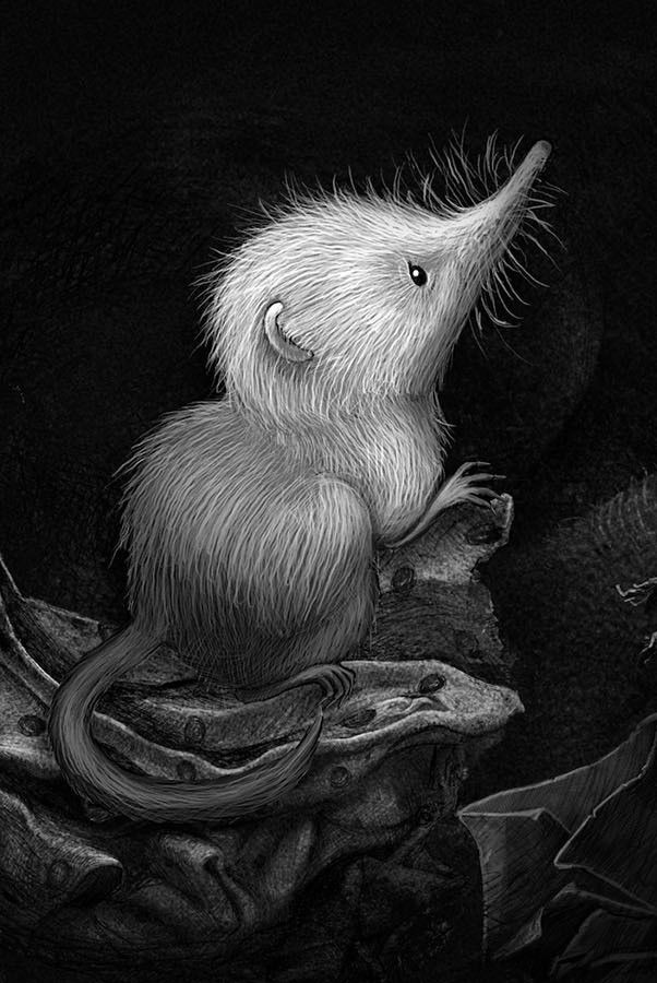 Little Shrew (Snowflake)