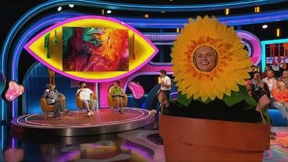 Big Brother: Late & Live