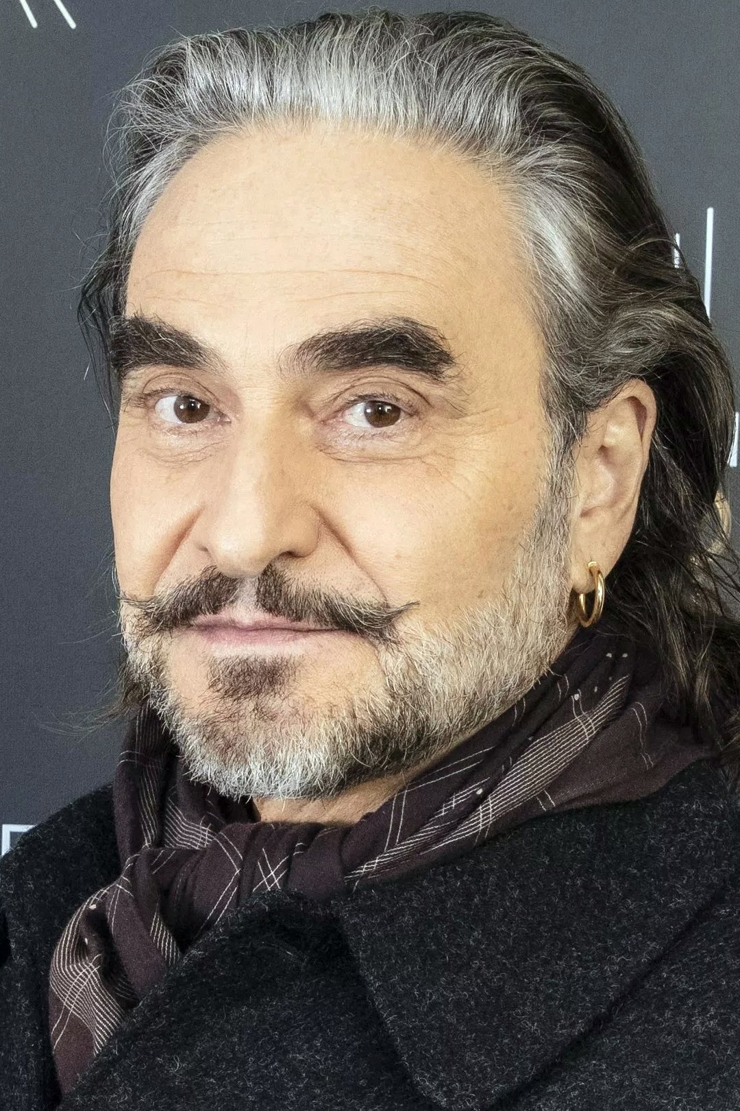 et billede af Stephan Eicher