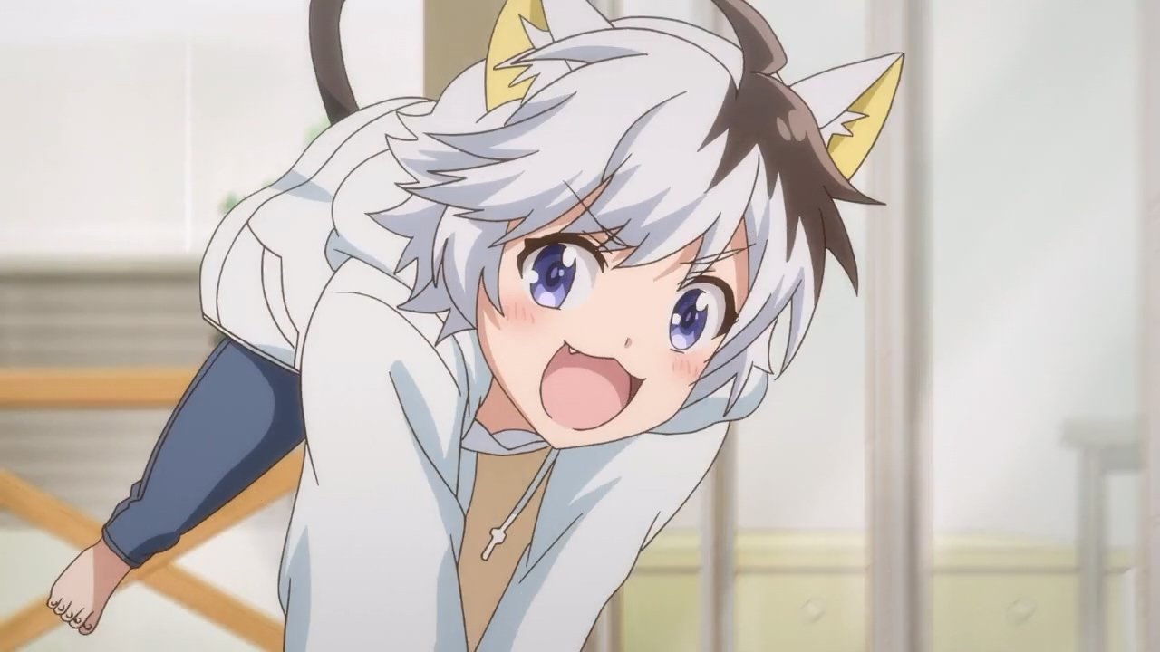 Uchitama?! Have You Seen My Tama?