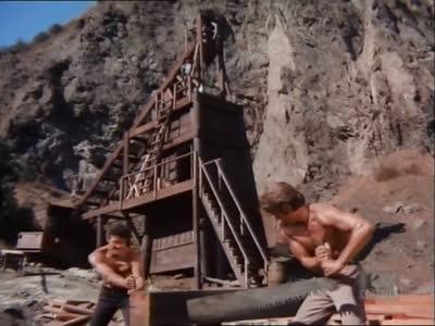 Bonanza