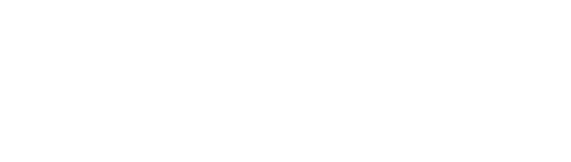The Hindenburg Logo