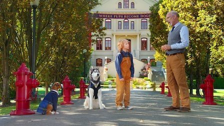 Pup Academy