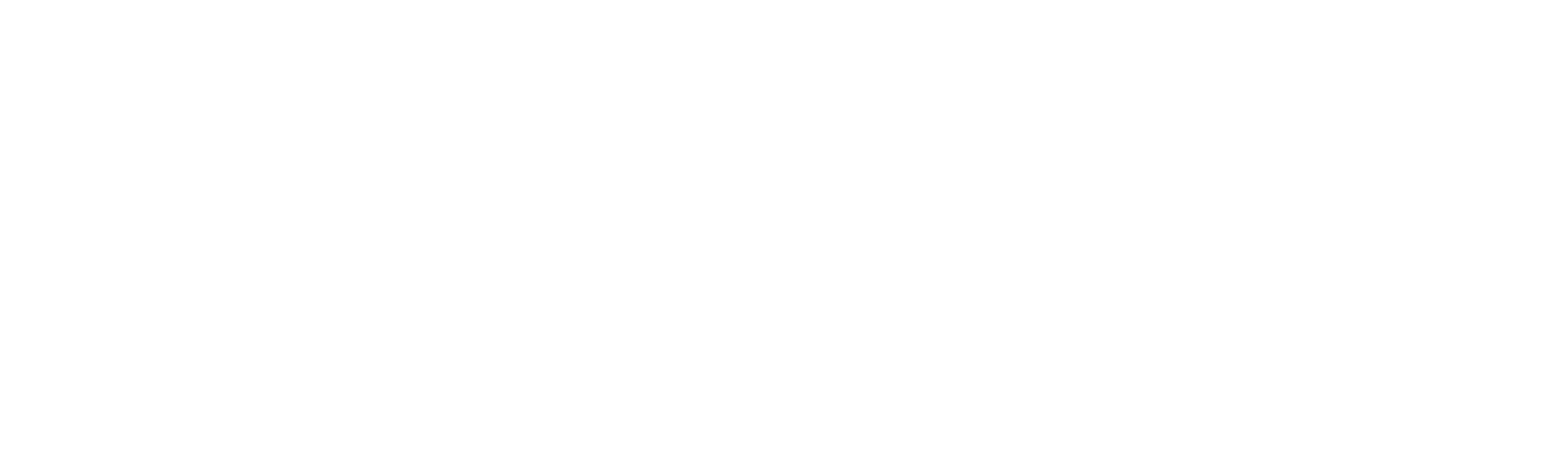 The Morning Show