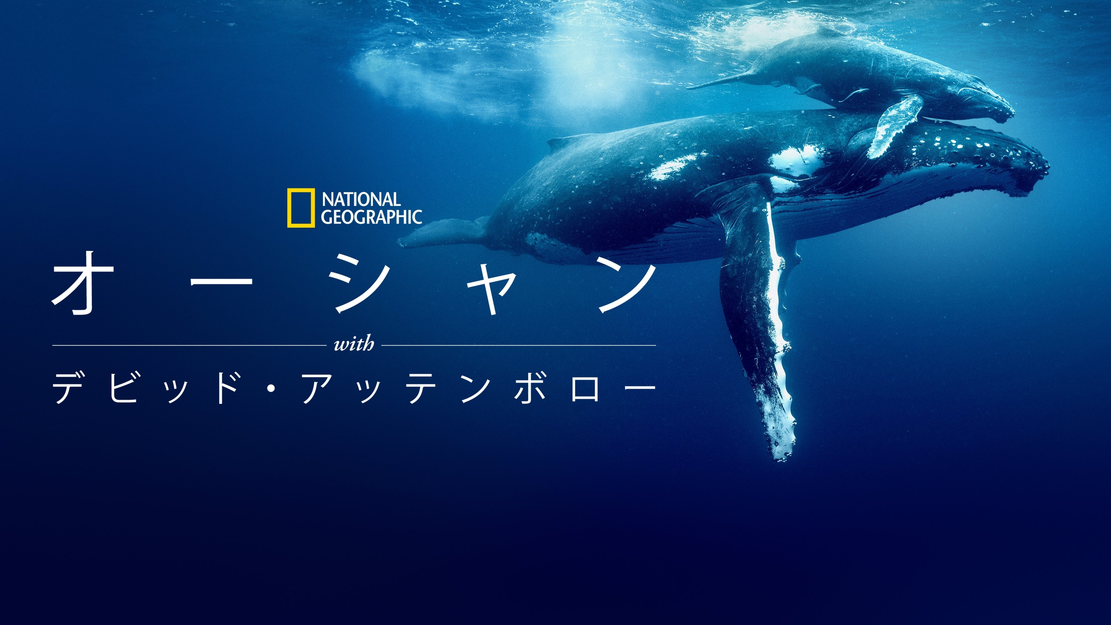 Ocean with David Attenborough backdrop