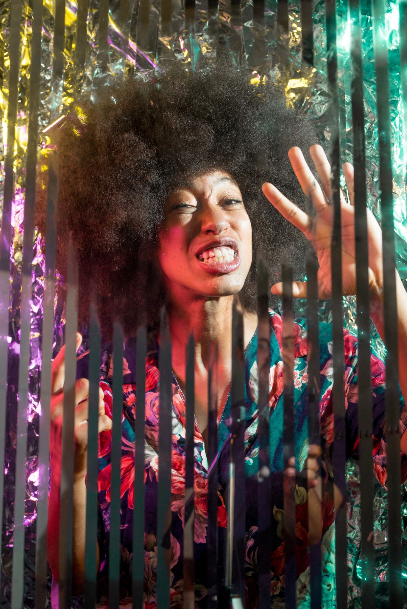 et billede af Linqua Franqa