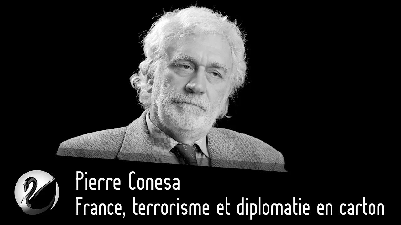 Thinkerview - France, terrorisme et diplomatie en carton