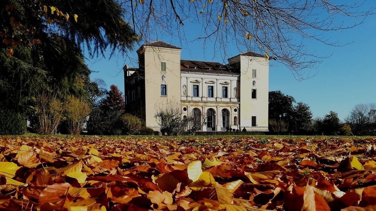 Palladio: The Power Of Architecture (2019)