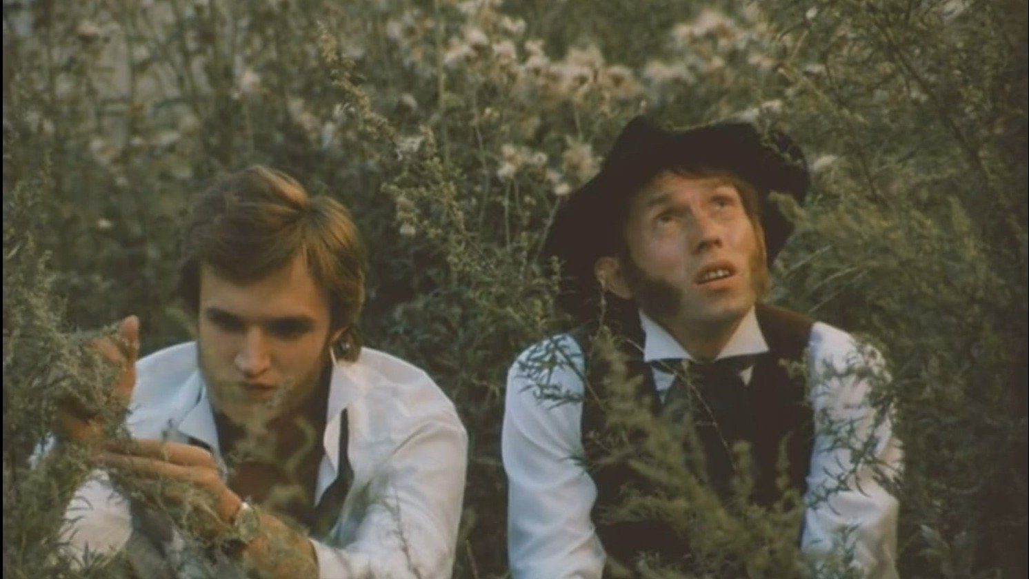 Sideburns