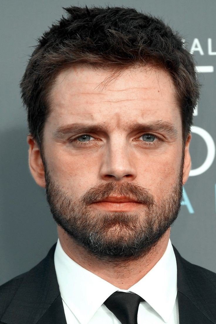 Sebastian Stan