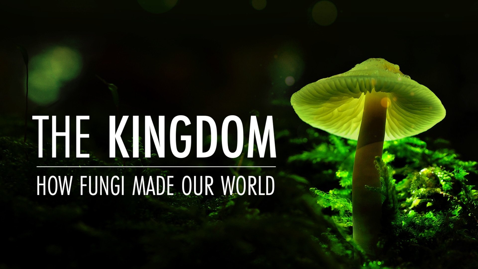 The Kingdom: How Fungi Made Our World (2018)