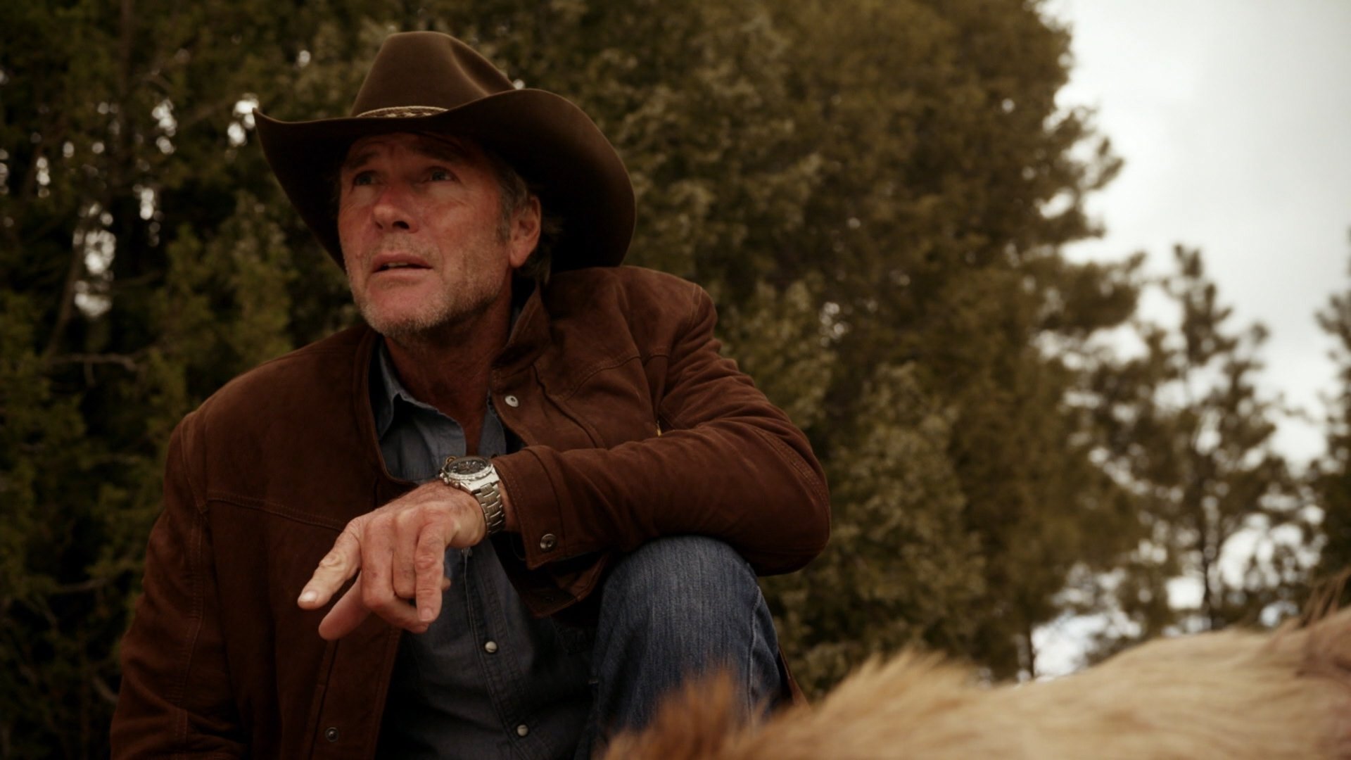 Longmire " Natural Order.