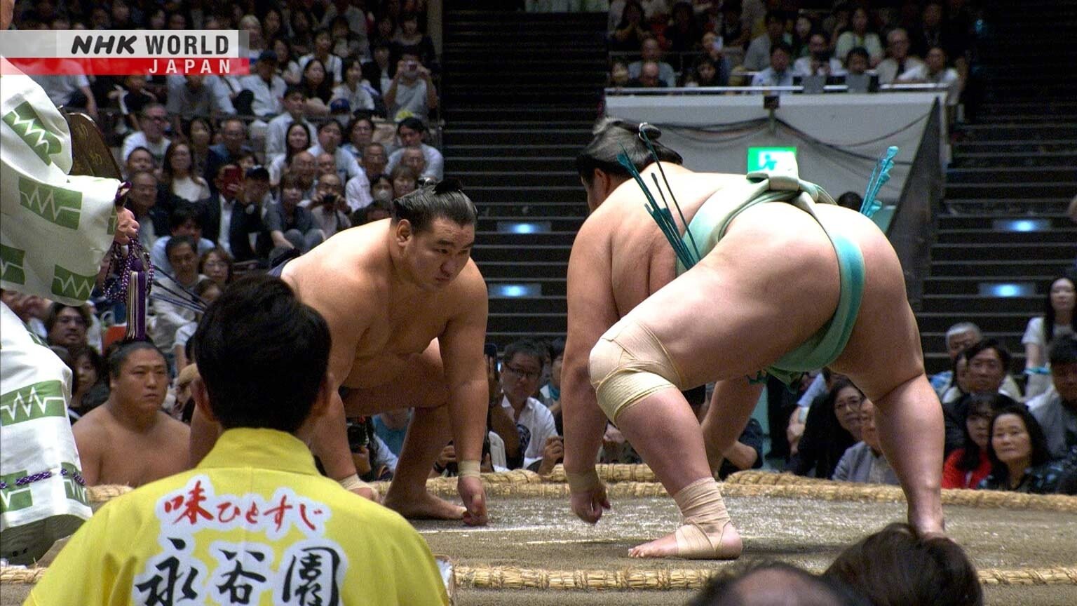 GRAND SUMO Highlights 31x13