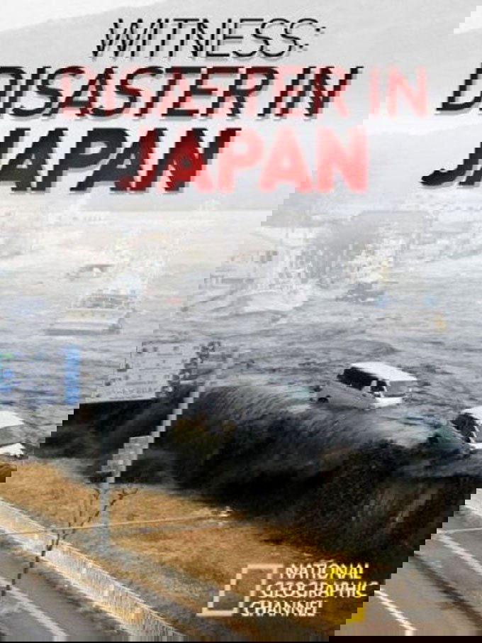 Witness: Disaster in Japan