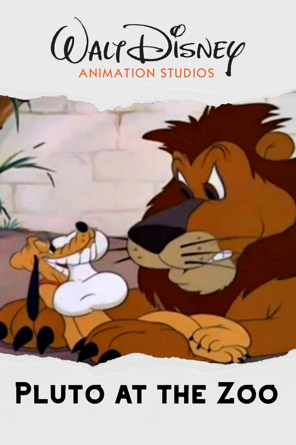 Pluto at the Zoo